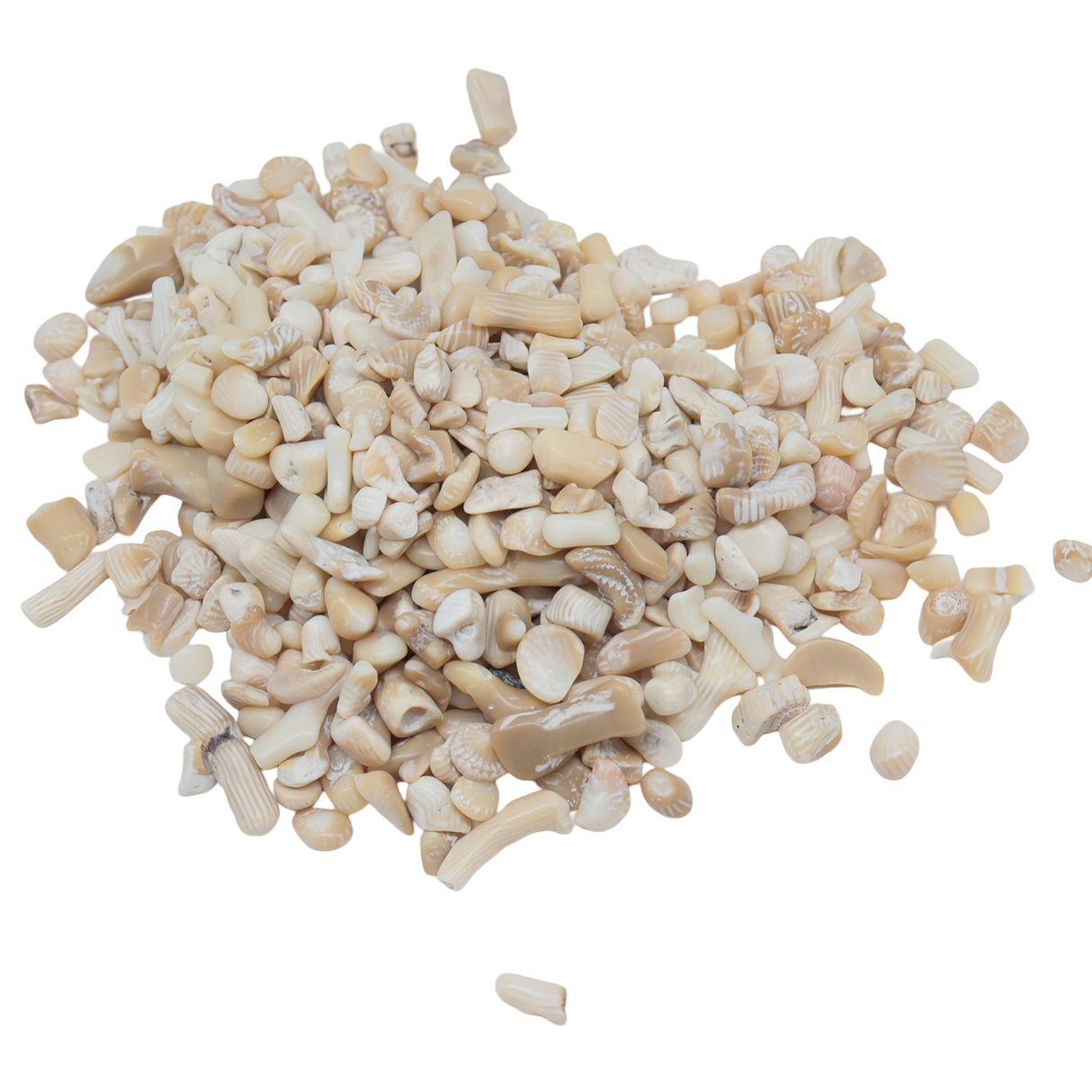 Stone - Tumbled Chips - White Coral & Bamboo 10 g