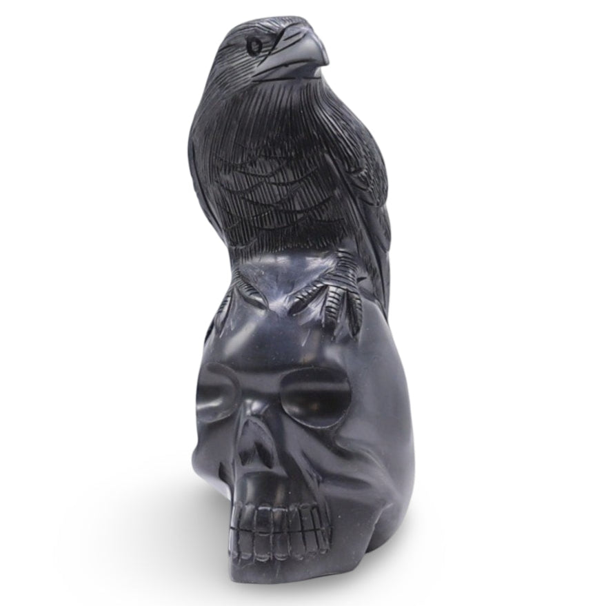Stone - Raven on Skull Carved in Black Onyx