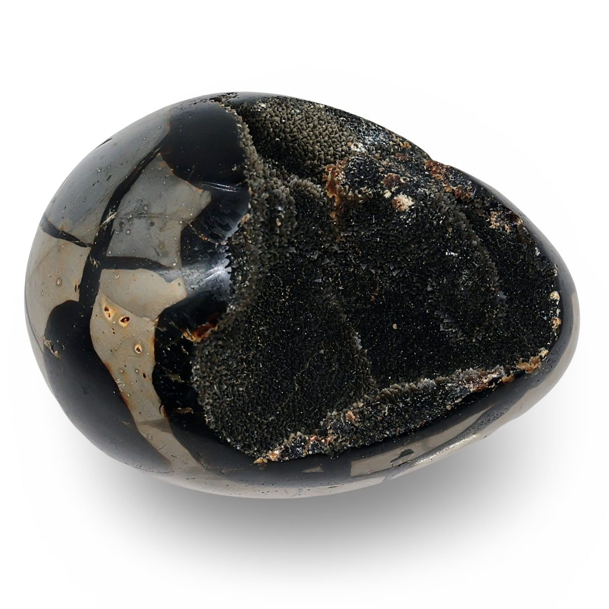 Stone - Septarian Dragon Egg Specimen