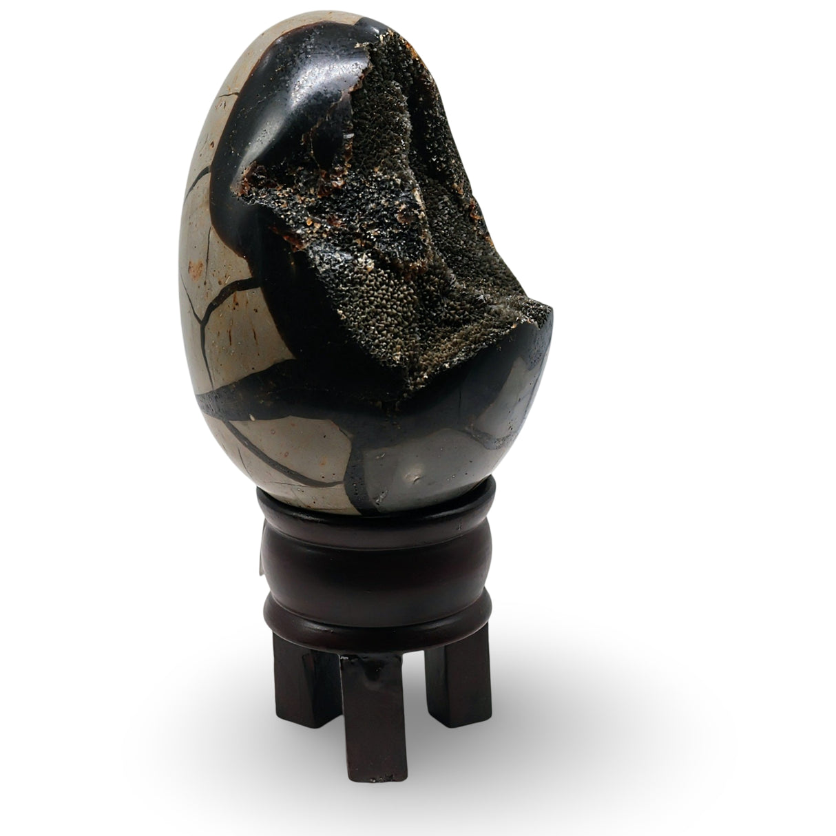 Stone - Septarian Dragon Egg Specimen