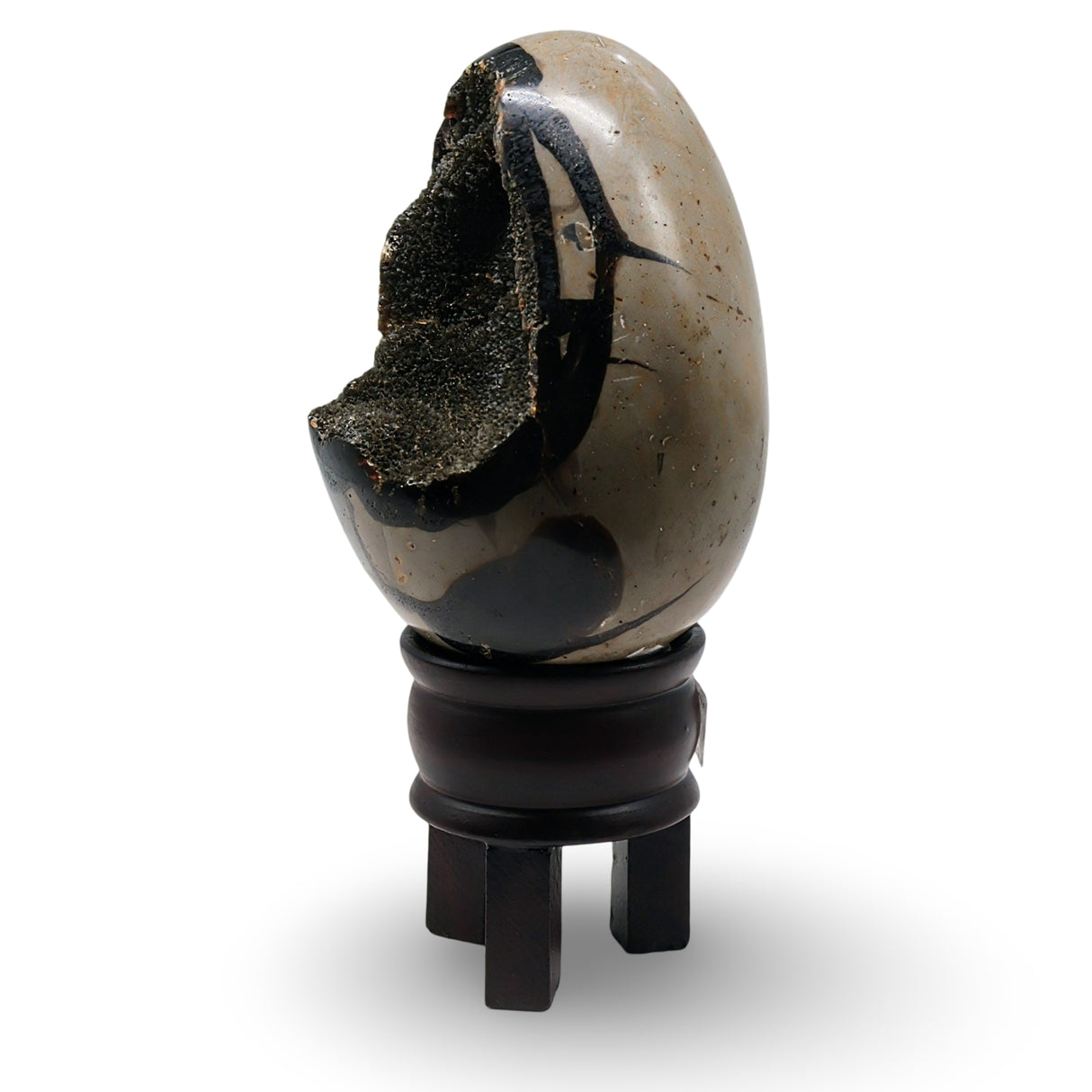 Stone - Septarian Dragon Egg Specimen