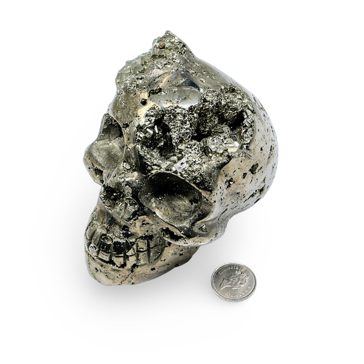 Stone - Pyrite Skull Specimen - Rough