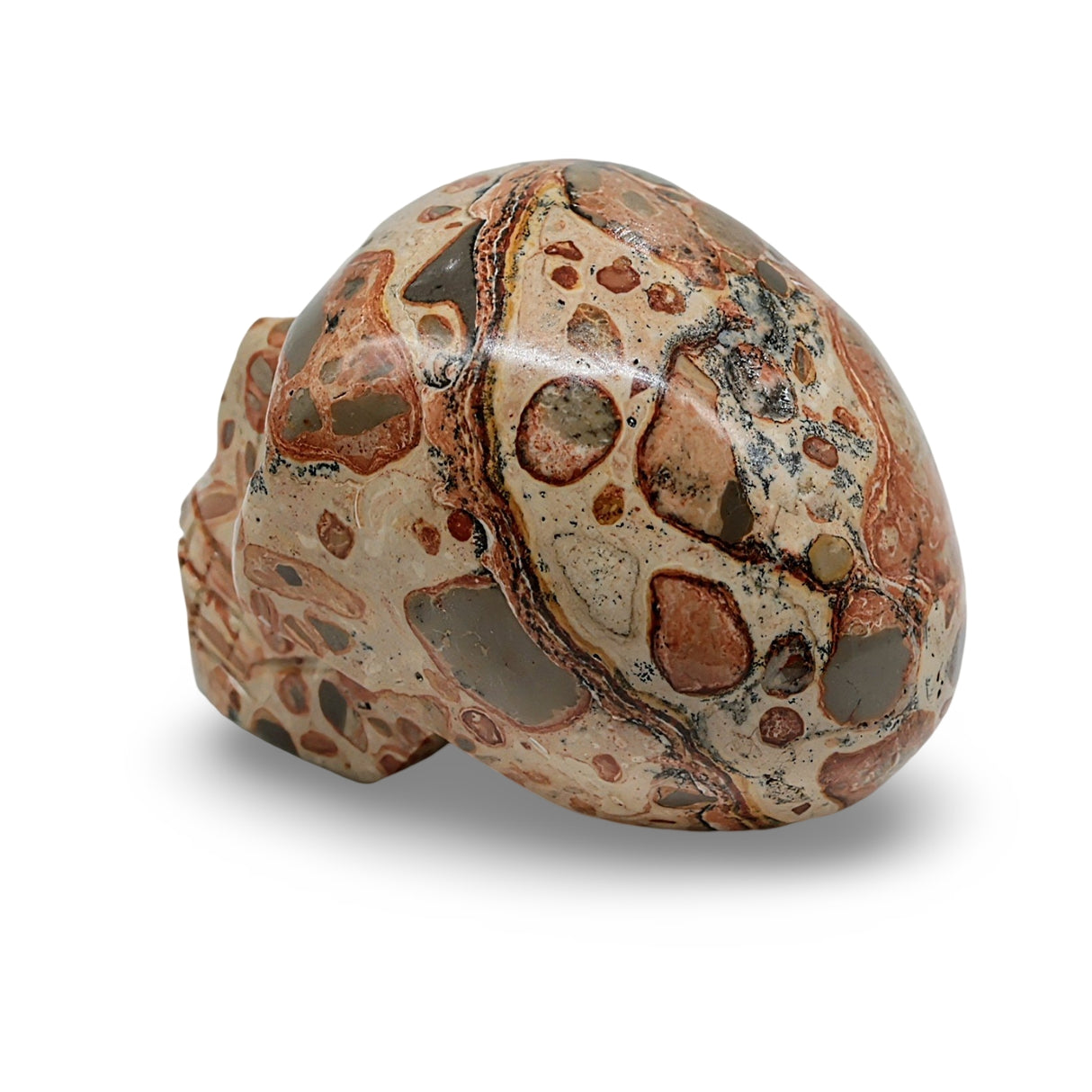 Stone - Leopard Jasper Skull Specimen - Polished