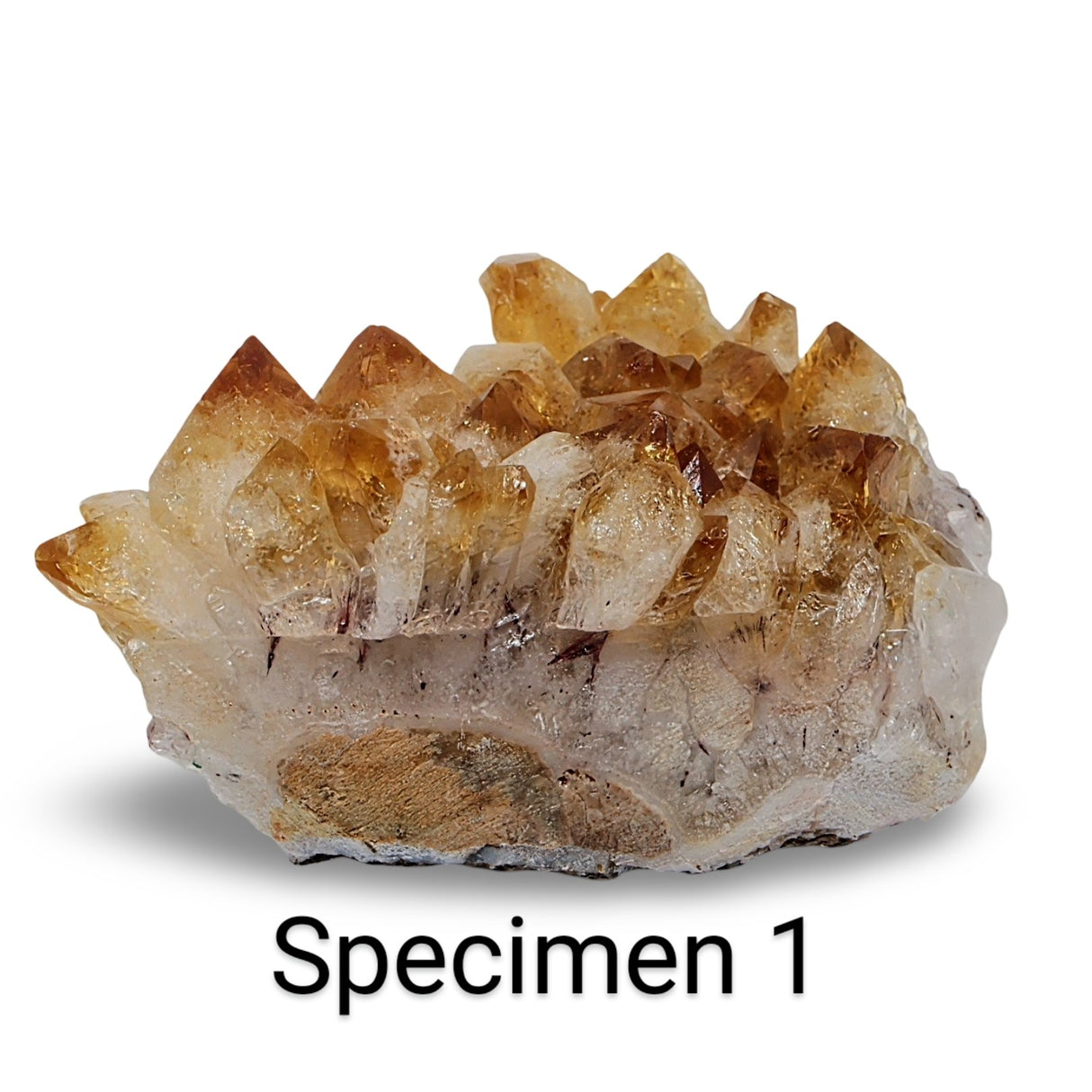 Cluster - Druzy - Citrine Grade A Specimen 1: 383g