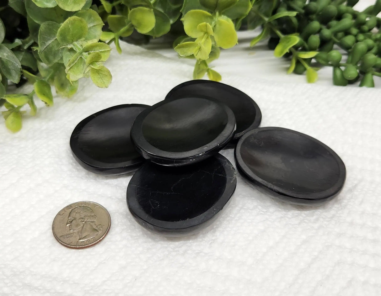 Stones - Shungite Worry Stones - Tumbled