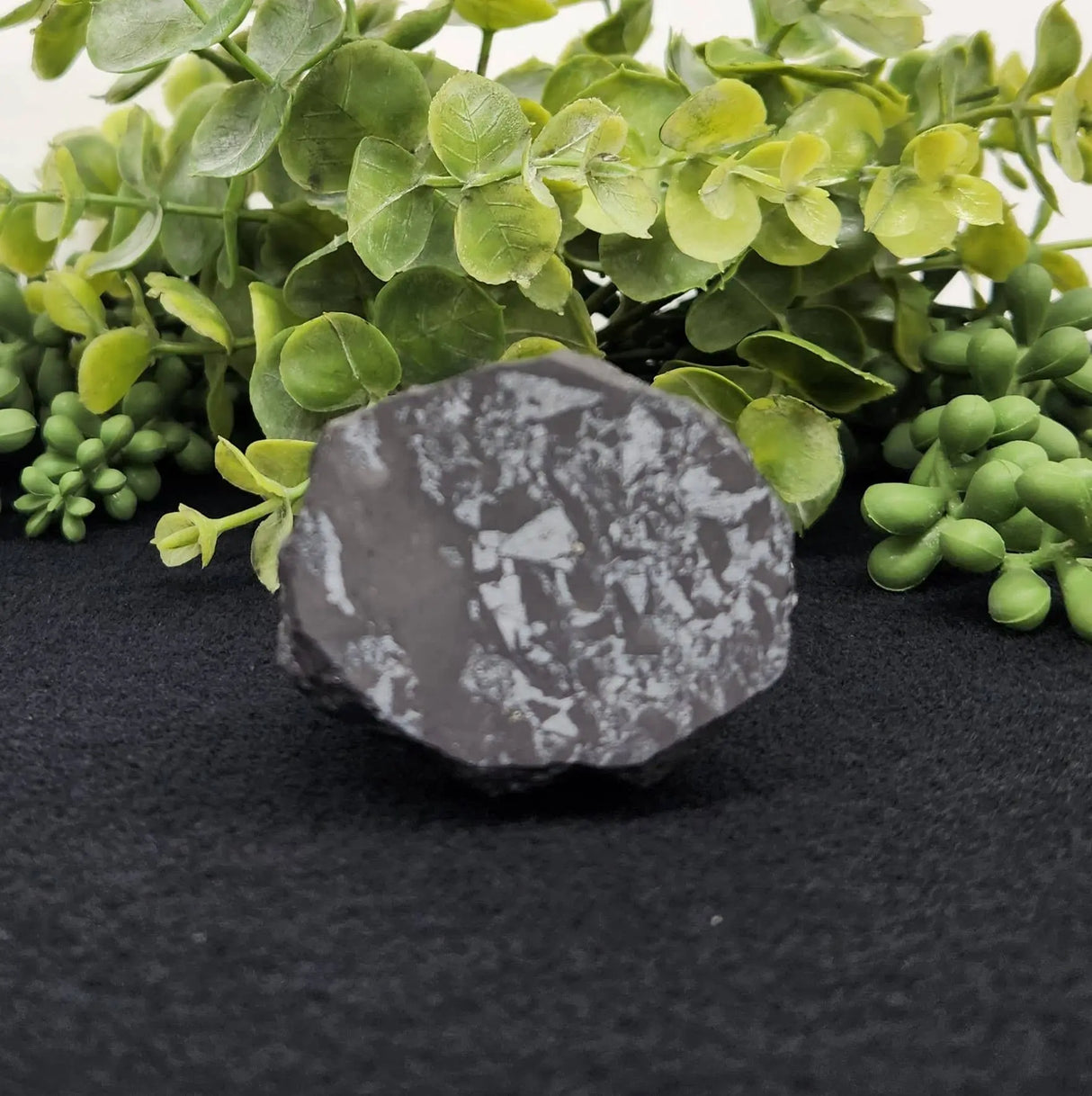 Home Decor - Shungite Sculpture - Owl Facing Sideways (2.25x1.75x2.25")