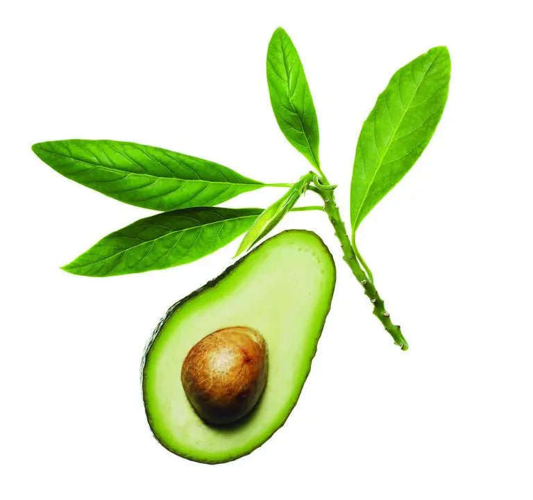 Carrier Oil -Avocado -Cosmetic Grade -Refined