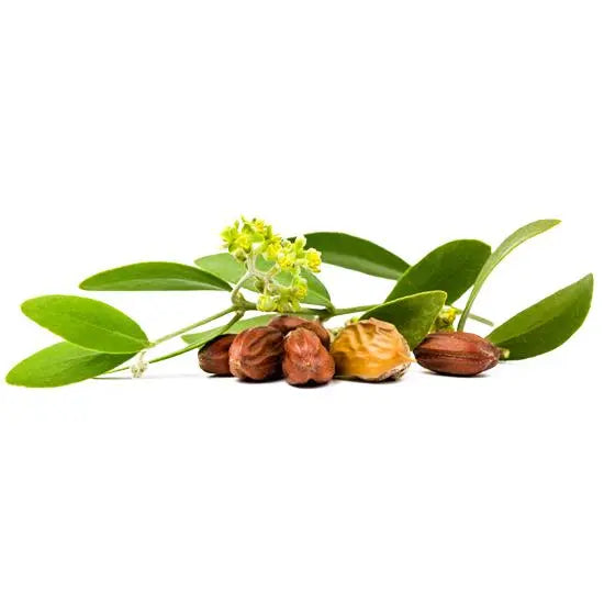 Carrier Oil - Jojoba - Clear - Deodorized