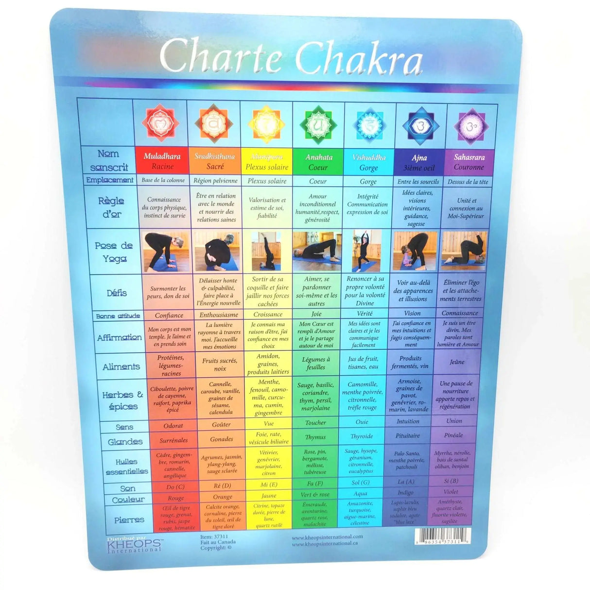 Descriptive Charts - 7 Chakras French