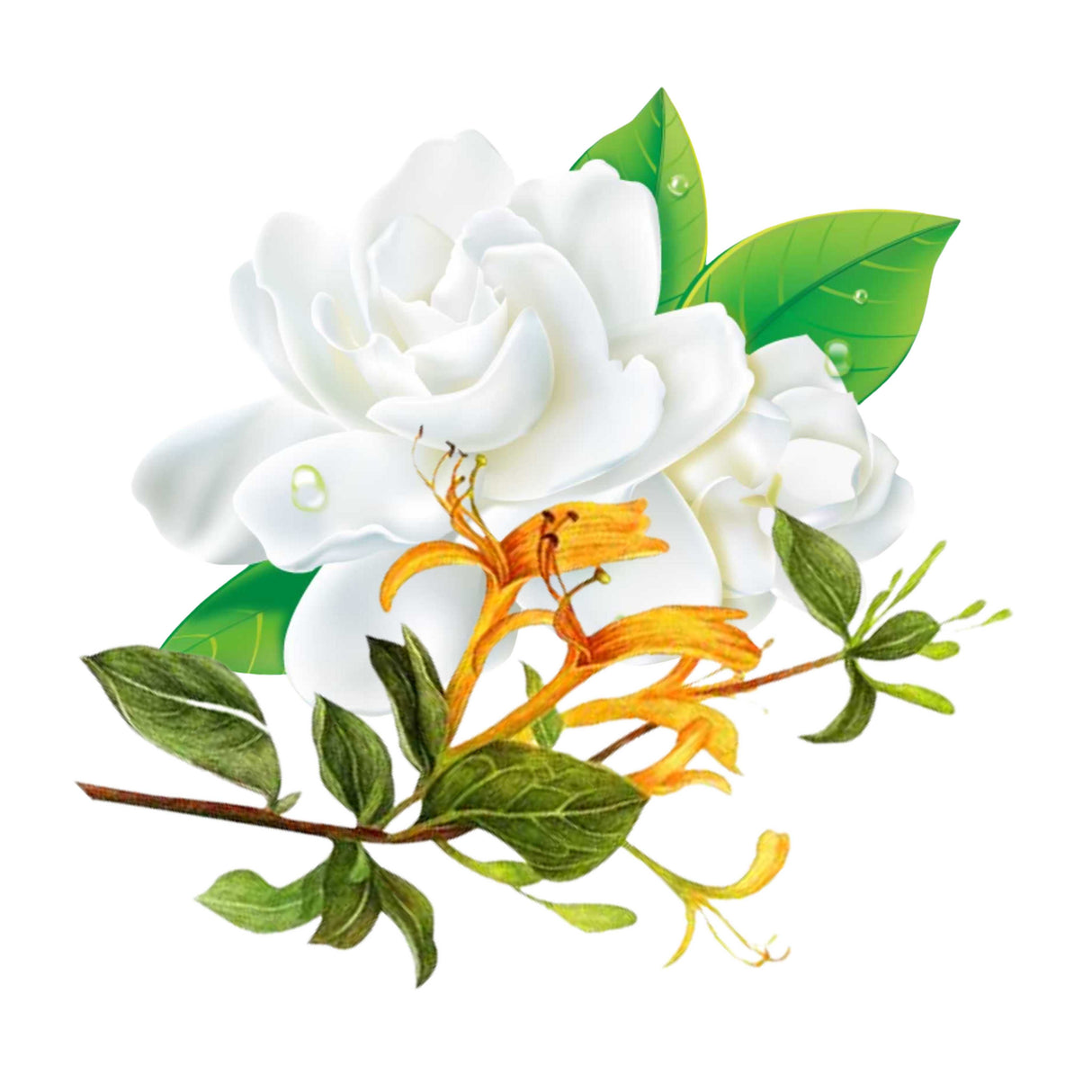 Essential Oil - Blend - Honeysuckle & Jasmine 500 ml