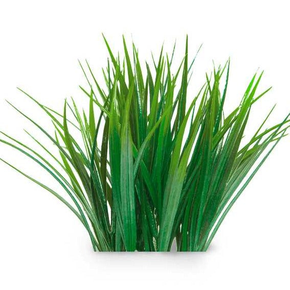 Essential Oil - Vetiver (Vetiveria Zizanoides) 500 ml