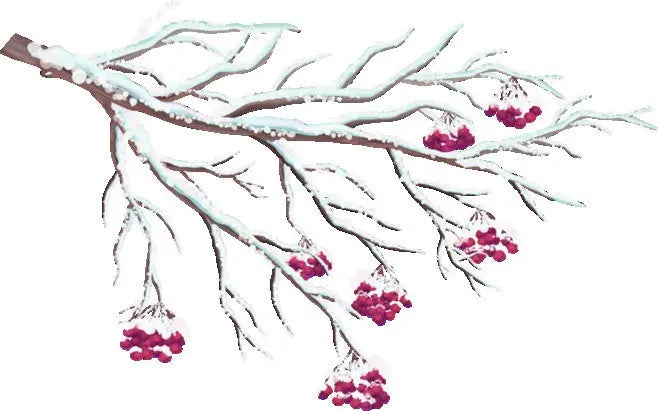 Fragrance Oil -Winterberry Wonder 500 ml