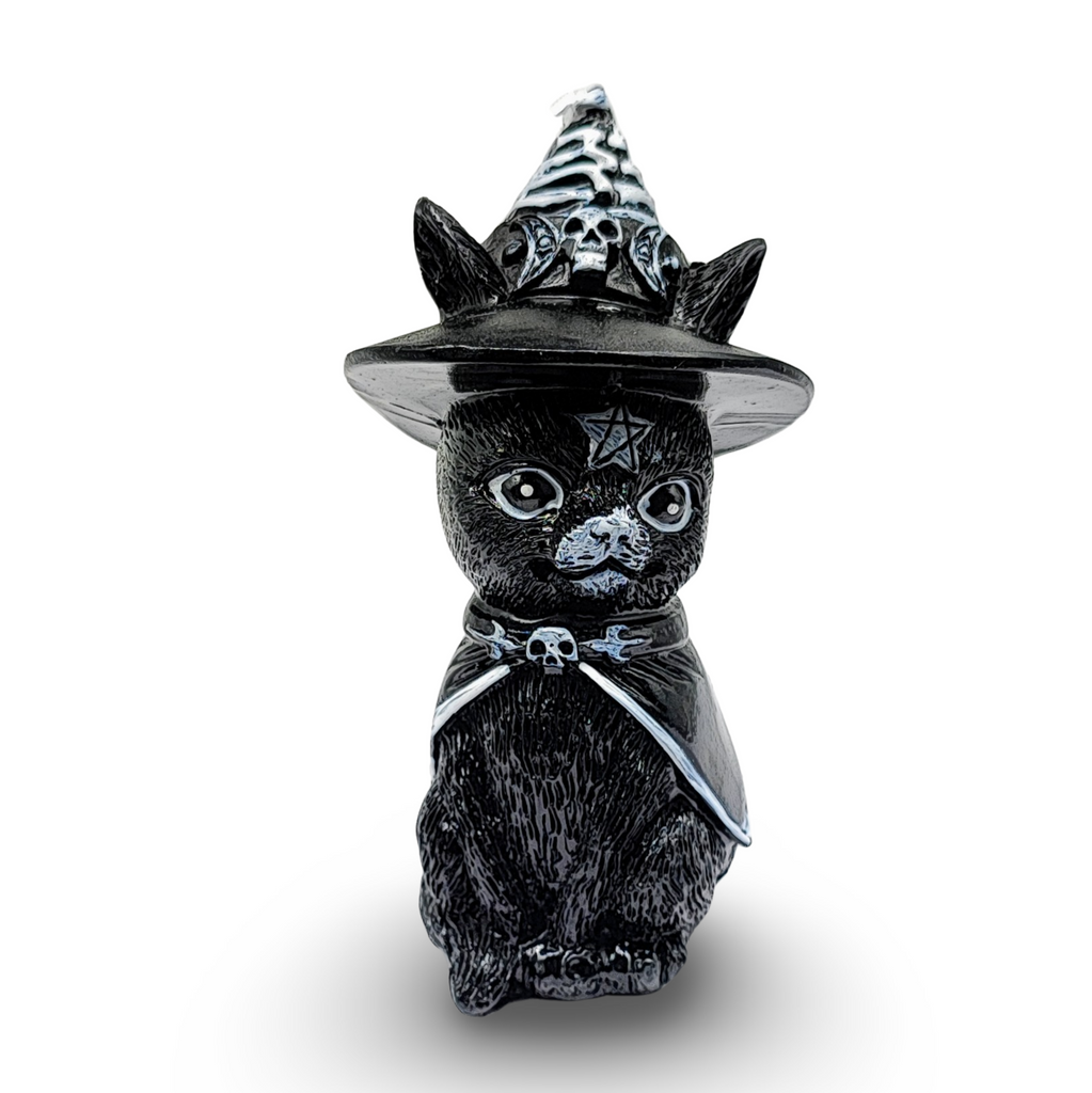 Home Decor -Black Cat with Witch Hat