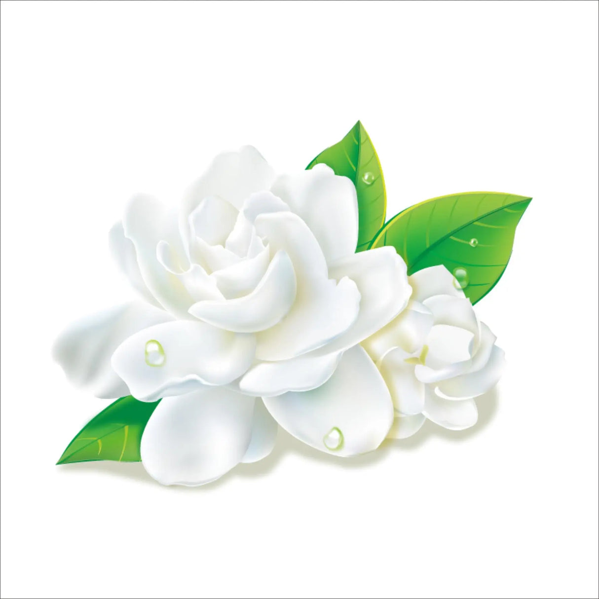 Incense Sticks - Jasmine - Pack of 10