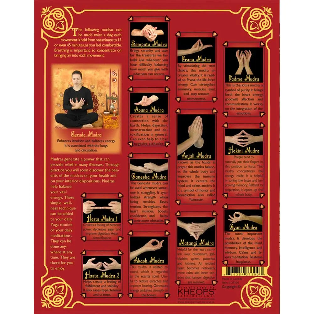 Laminated Descriptive Charts - Healing Hands - Yoga Spiritual Mudras French