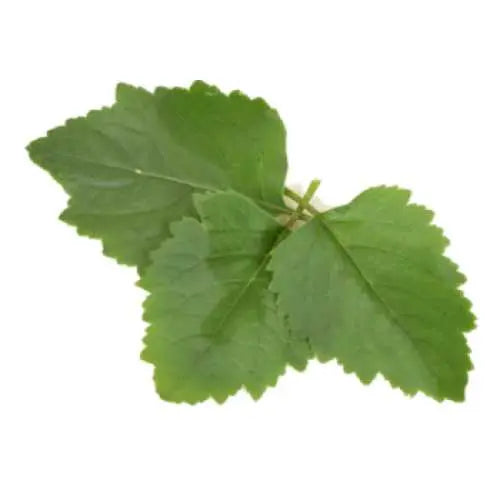 Room & Linen Mists -Patchouli