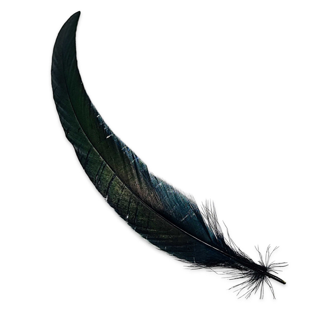Smudging -Feather -Black Crow