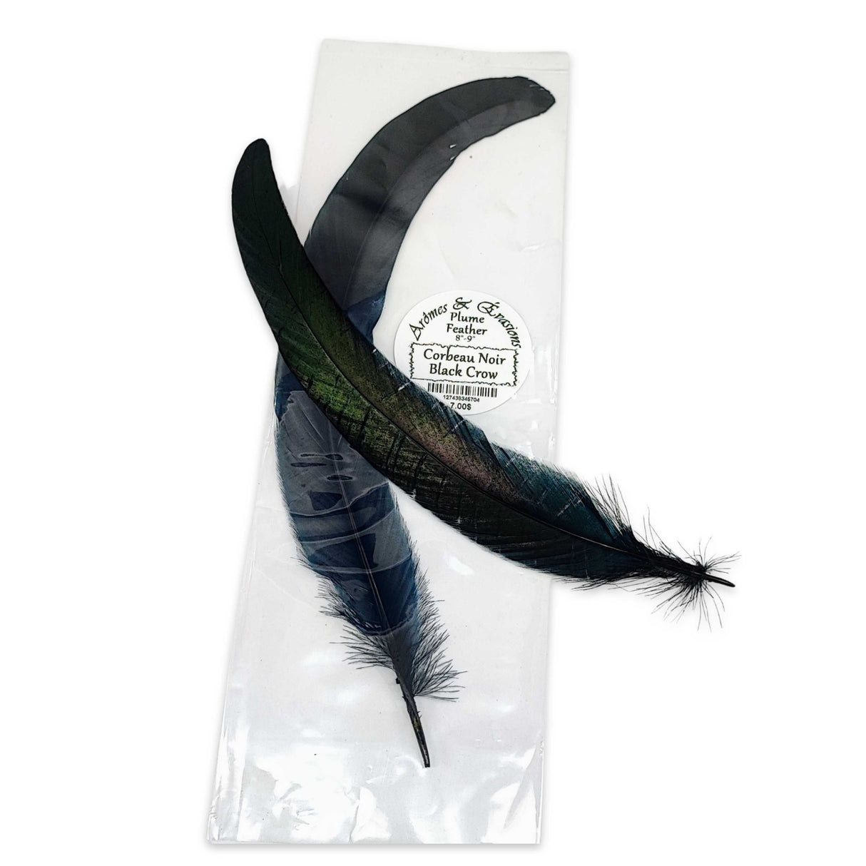 Smudging -Feather -Black Crow