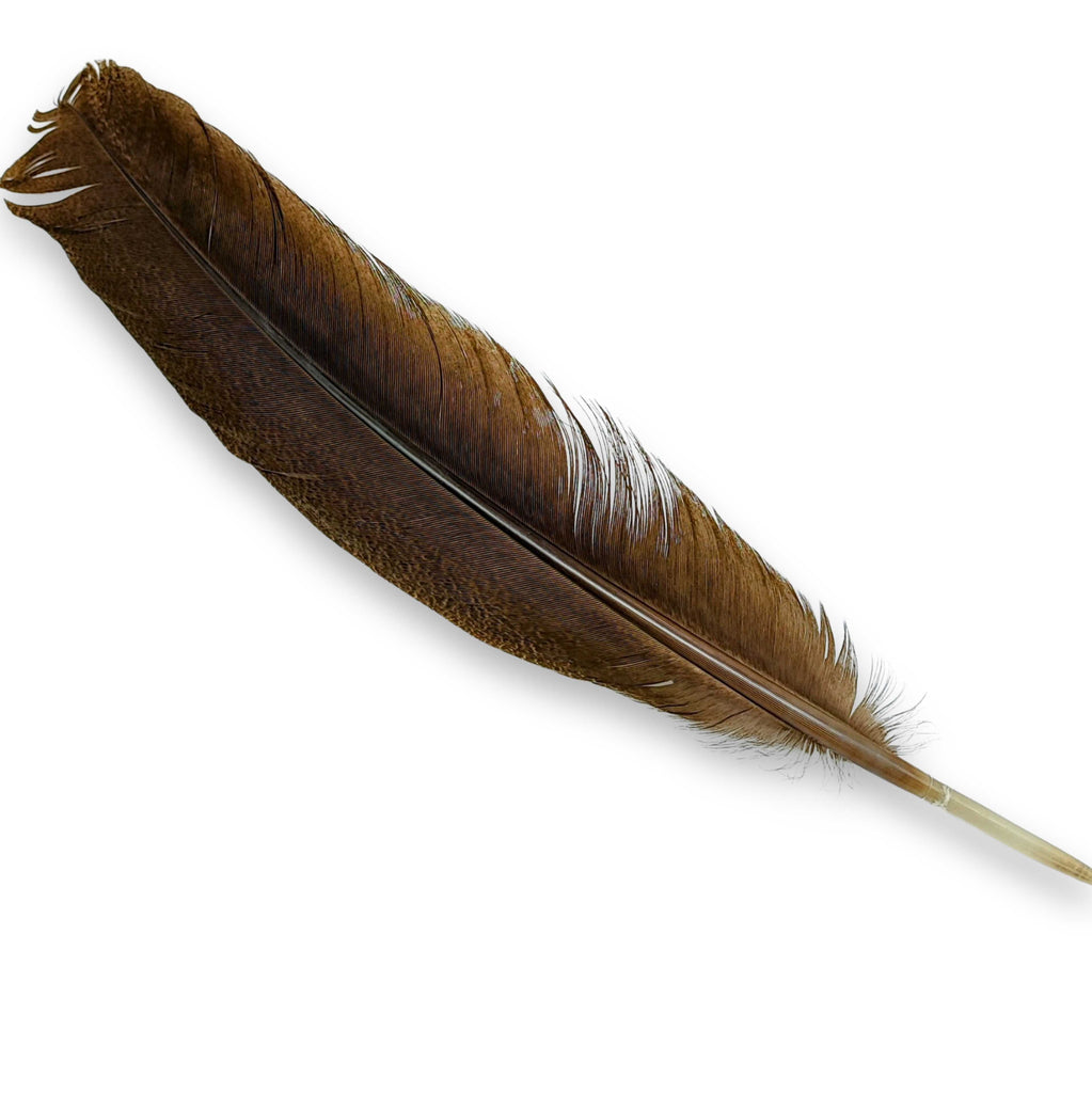 Smudging -Feather -Hawk