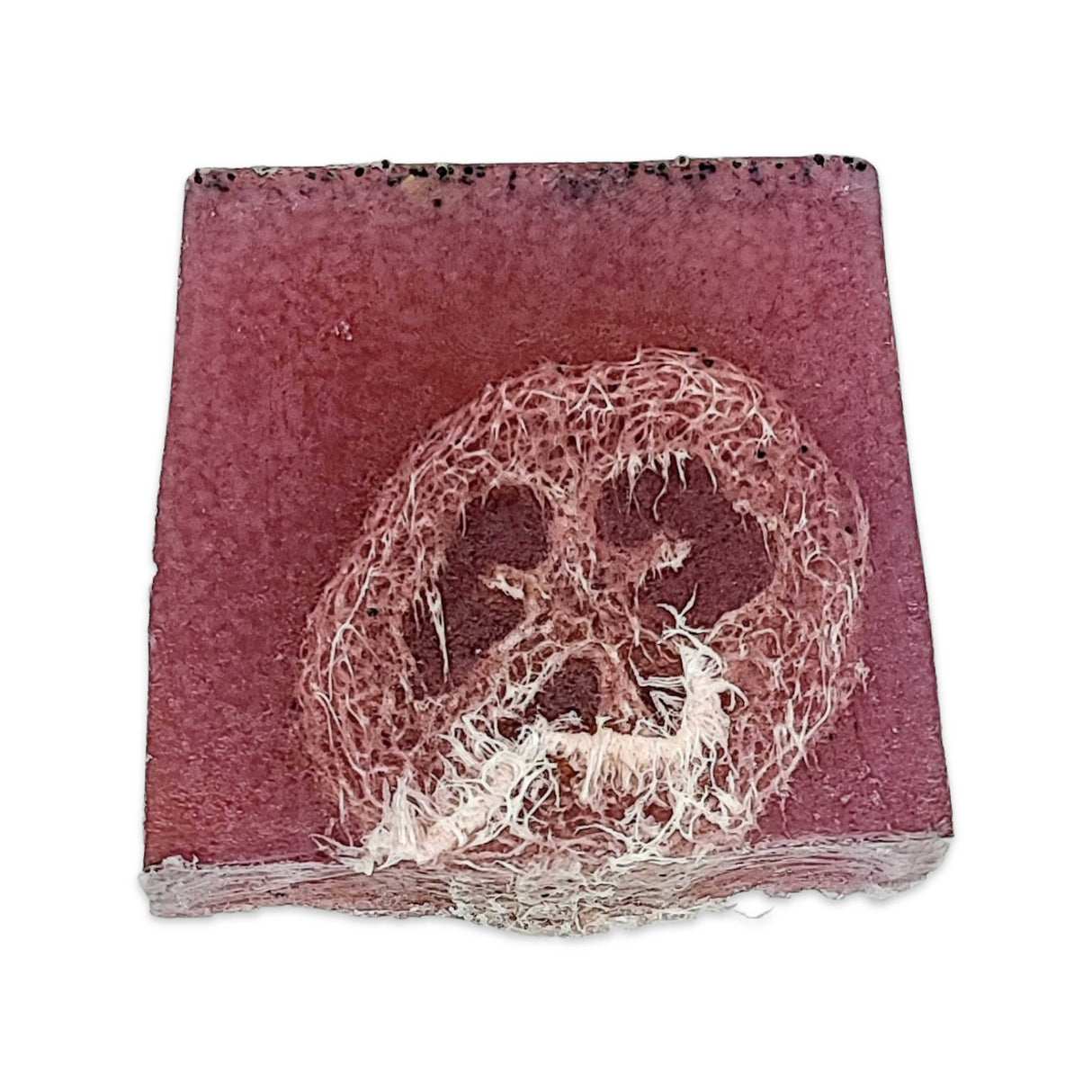Clearance - Soap Bar - Loofah Soap - Rasberry Rub