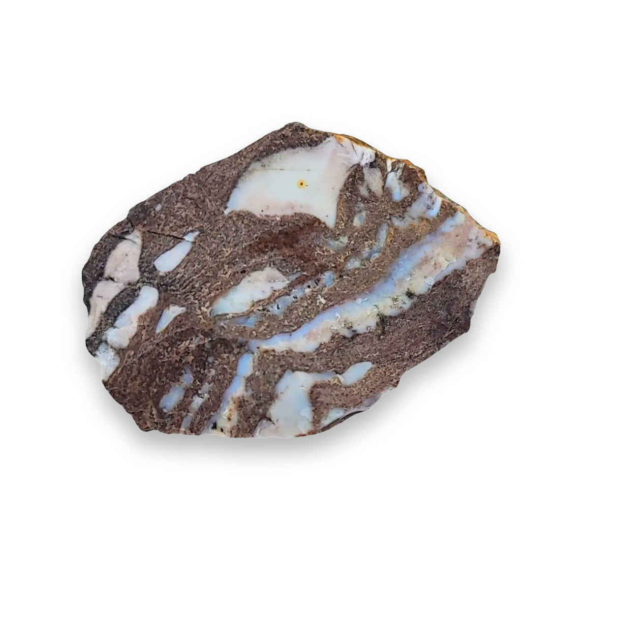 Stone -Jasper -Zebra -Brazil -Rough