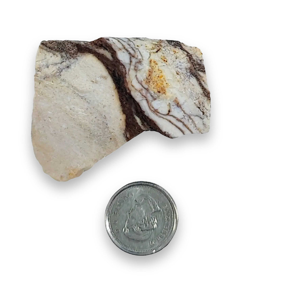 Stone -Jasper -Zebra -Brazil -Rough