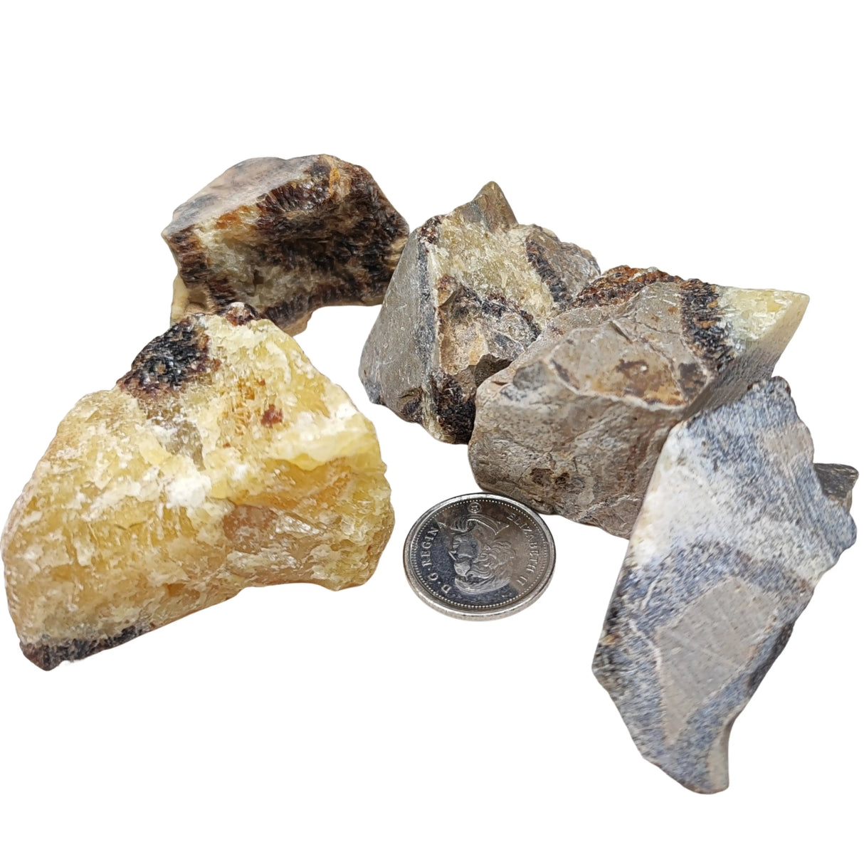 Stone -Septarian -Rough