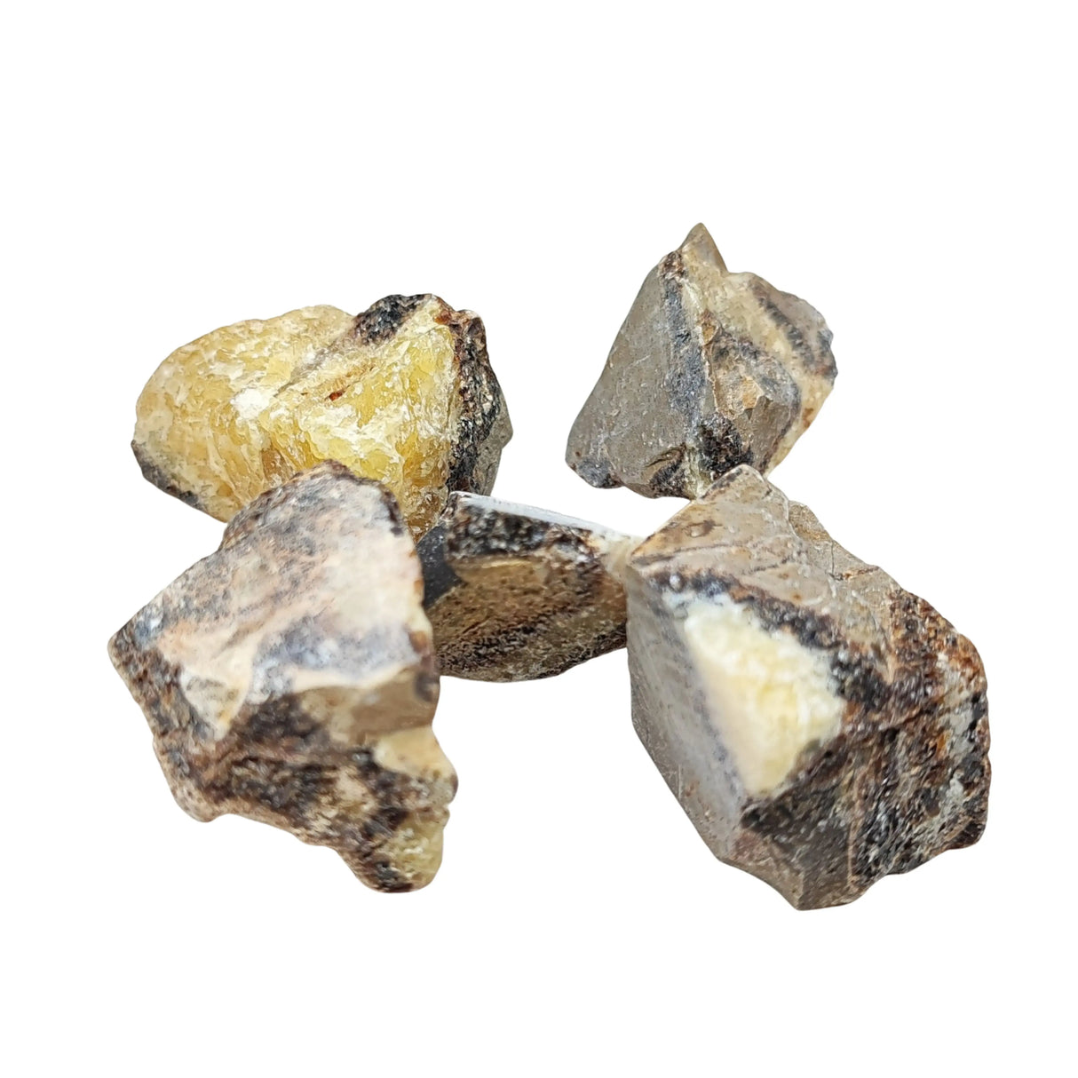 Stone -Septarian -Rough