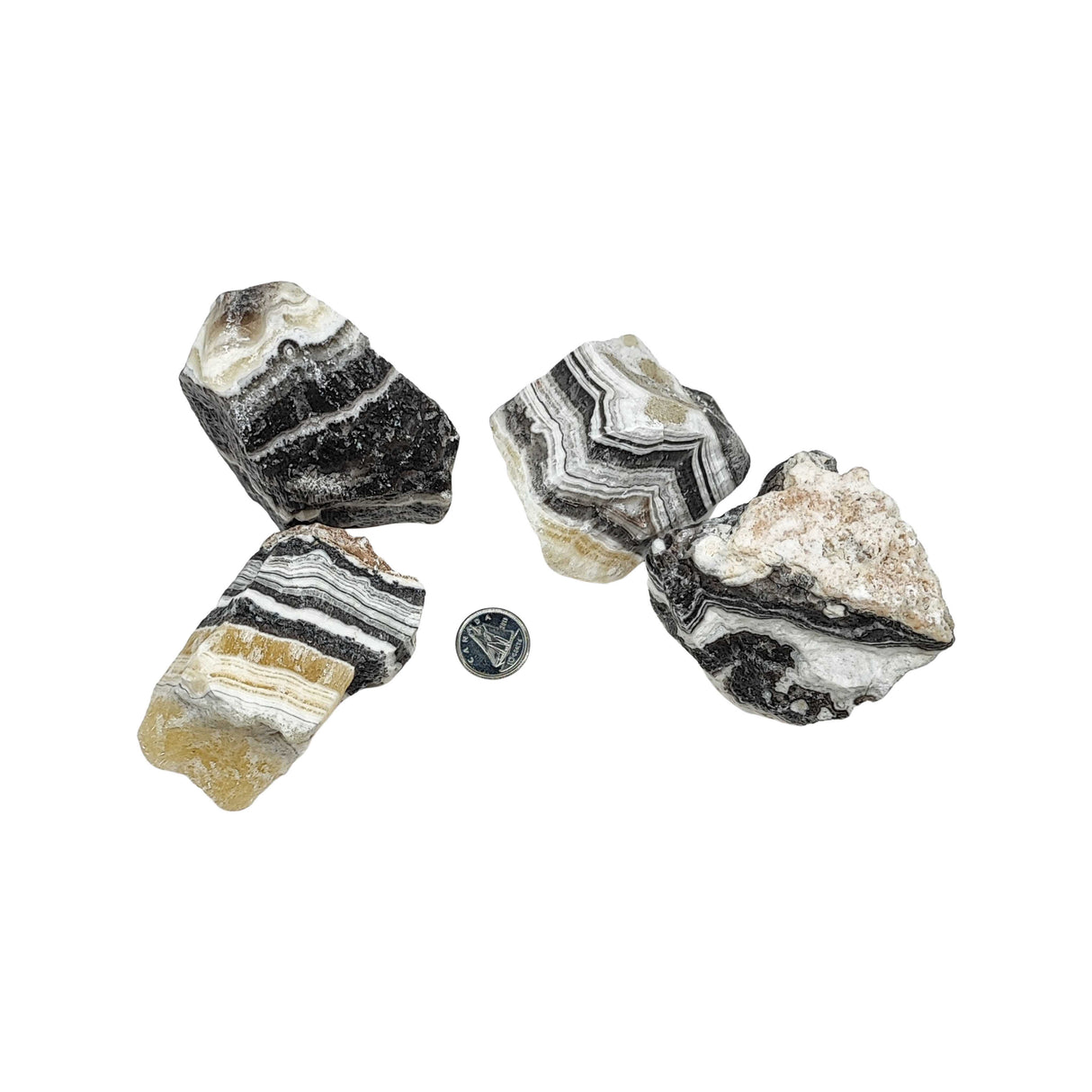 Stone - Zebra Calcite - Rough - Specimen - 100g to 199g