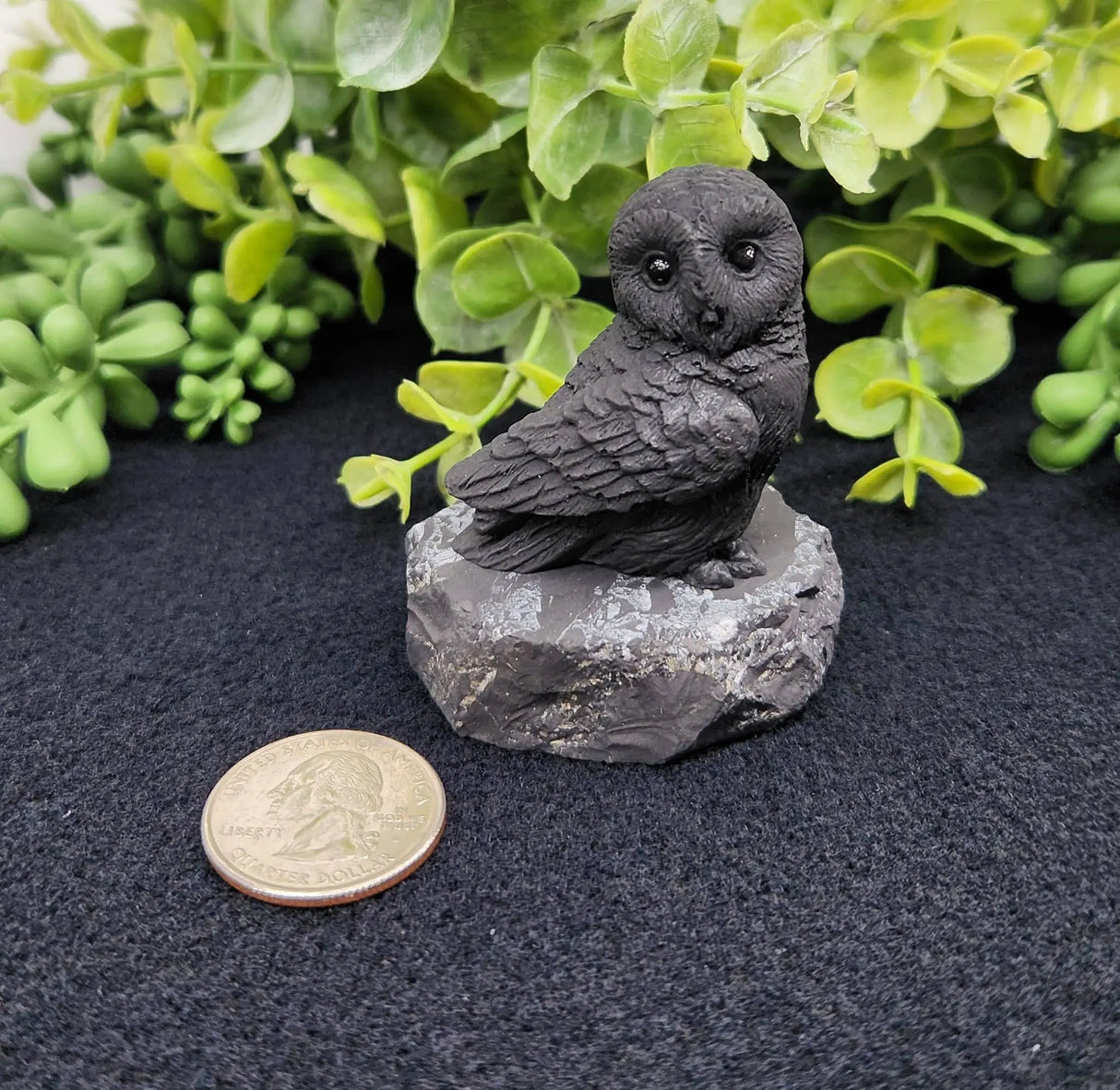 Home Decor - Shungite Sculpture - Owl Facing Sideways (2.25x1.75x2.25")