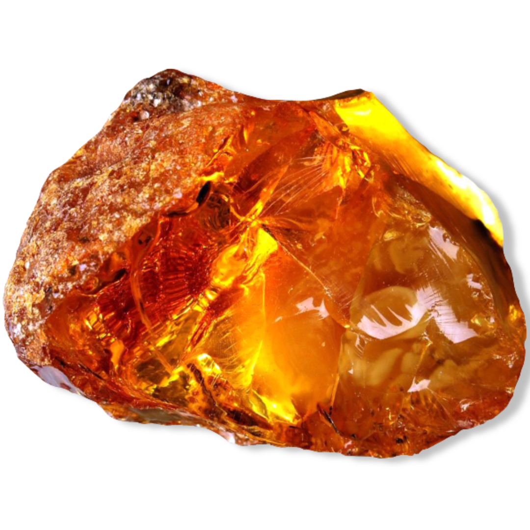 Essential Oil - Amber (Pinus Succinefera)