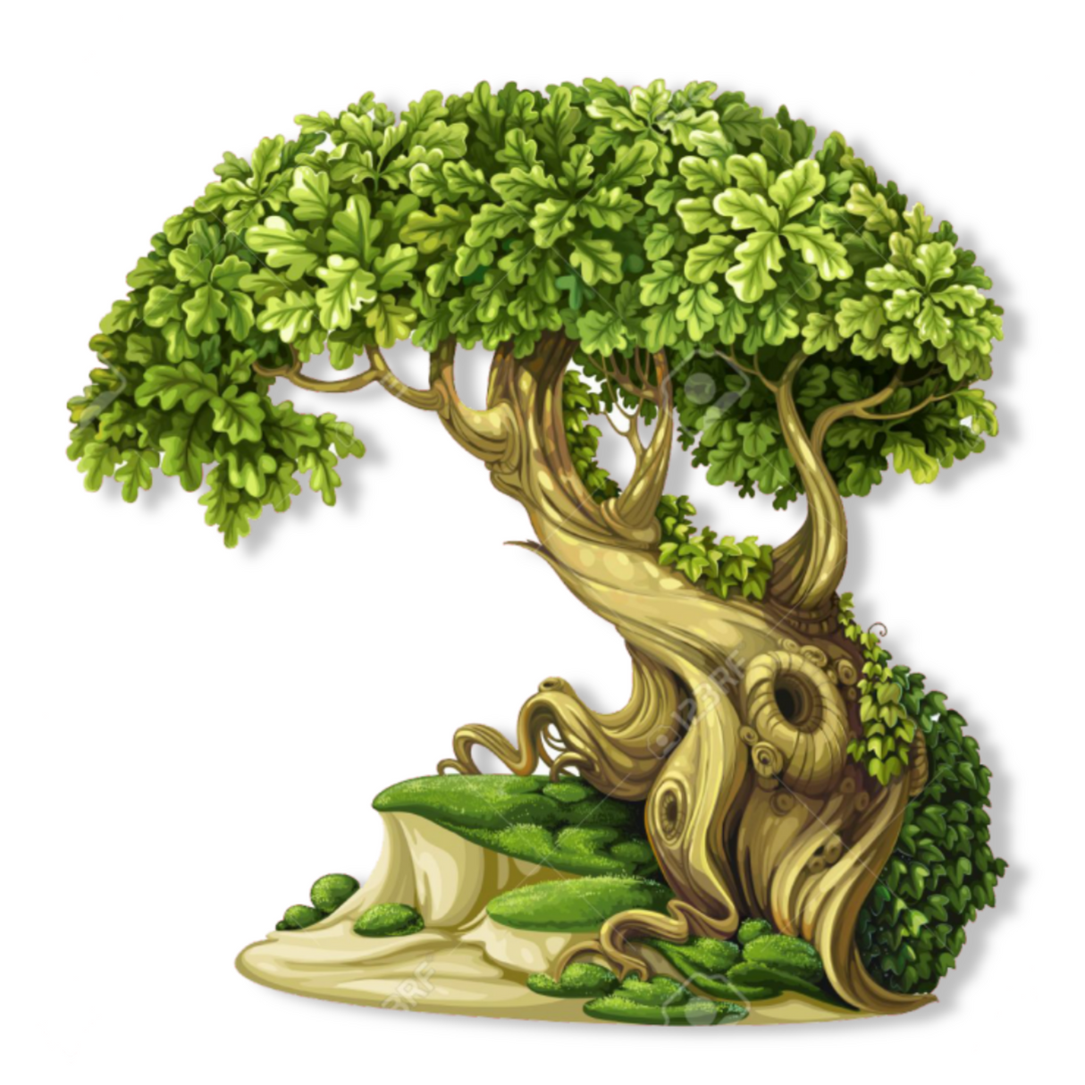 Fragrance Oil - Oak Moss 500 ml