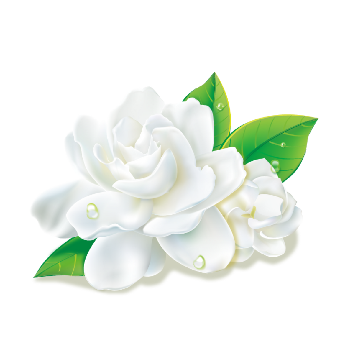 Incense - Backflow Cones - Jasmine - 8 Cones