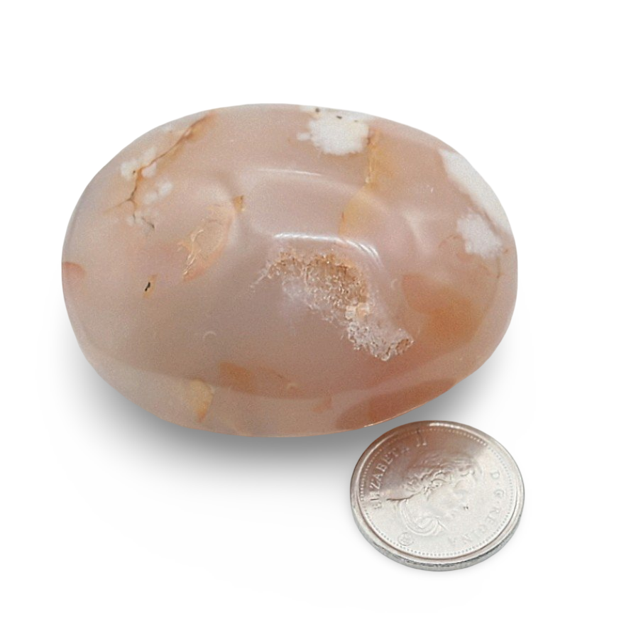 Palm Stone - Flower Agate With Druze - Tumbled - 55g