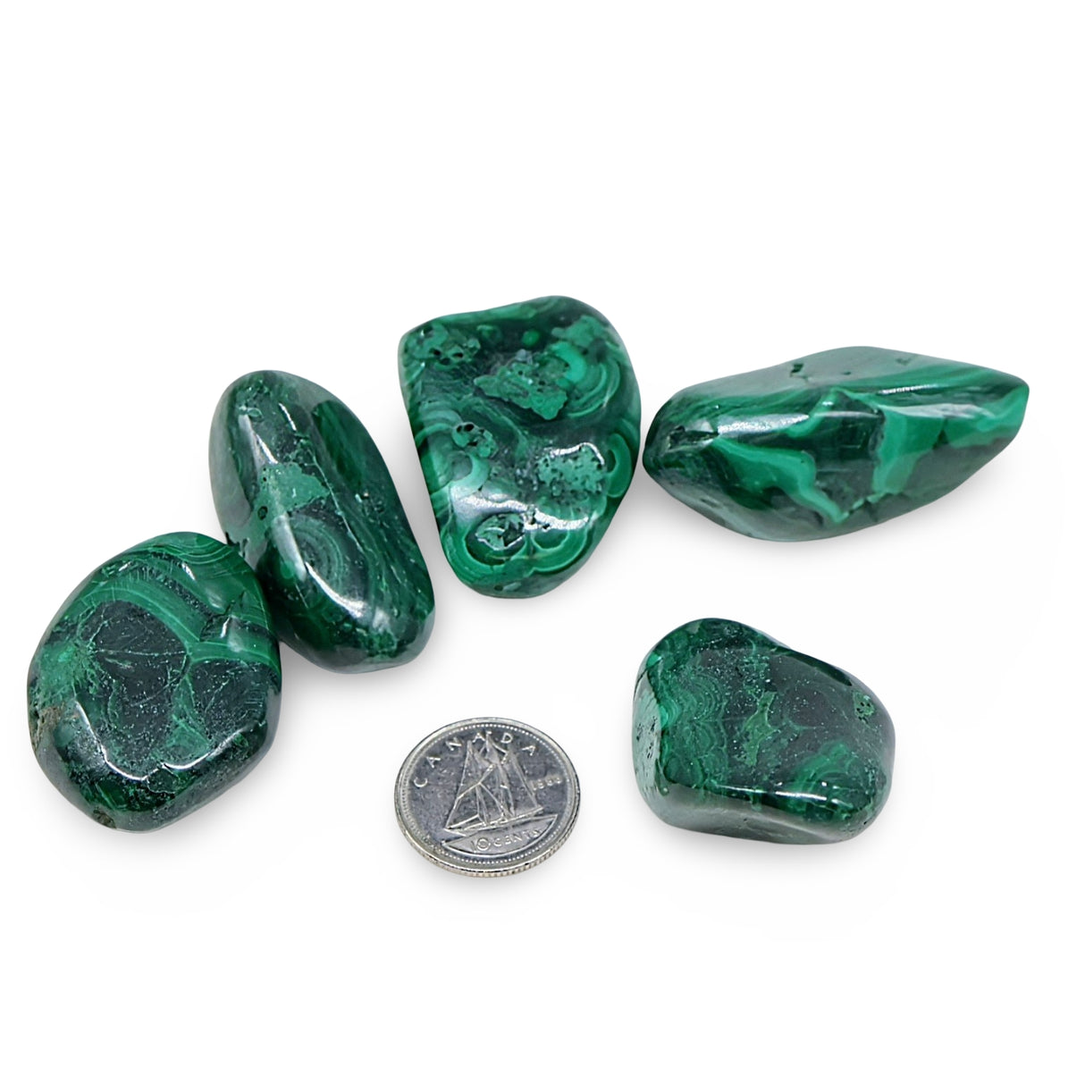 Stone - Malachite - Tumbled - 31g to 50g