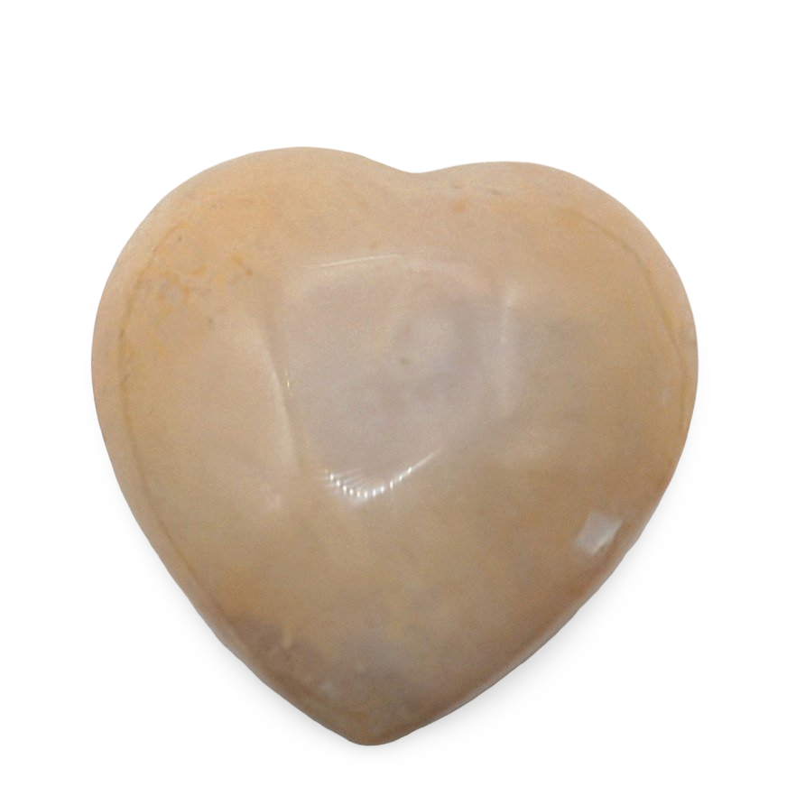 Stone - Fossil Coral - Heart Shape - Tumbled