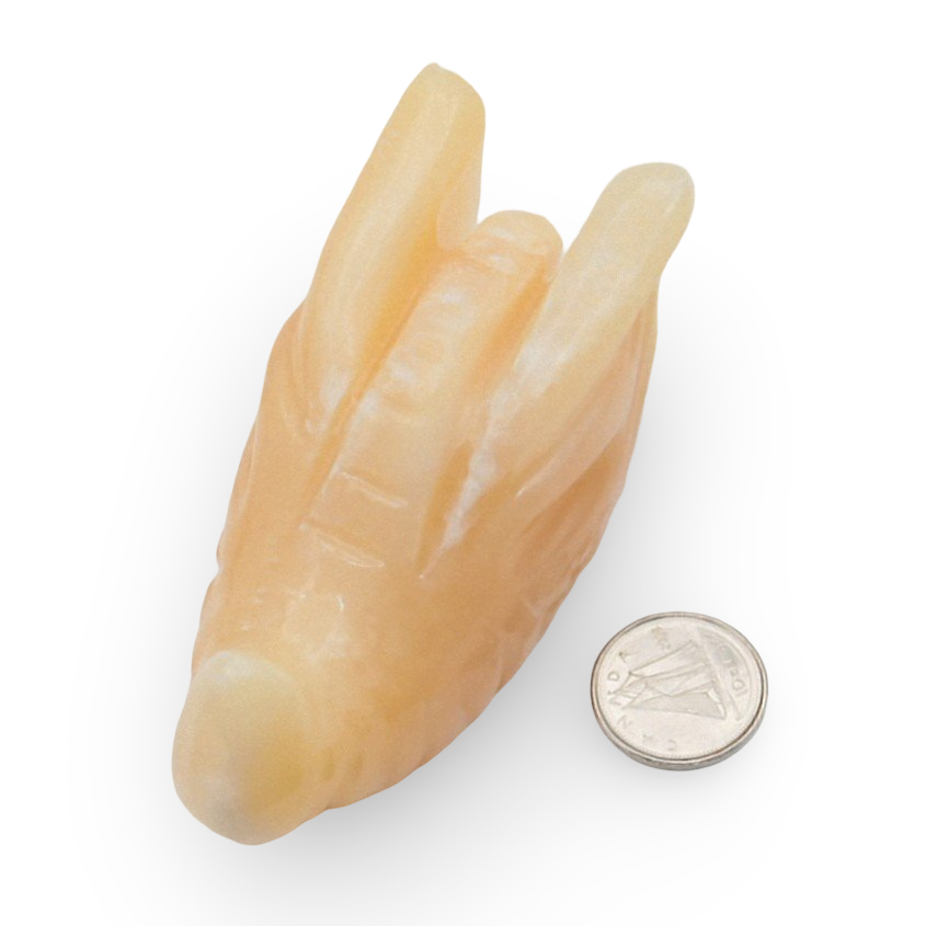 Stone - Yellow Calcite - Dragon Head Shape - Tumbled