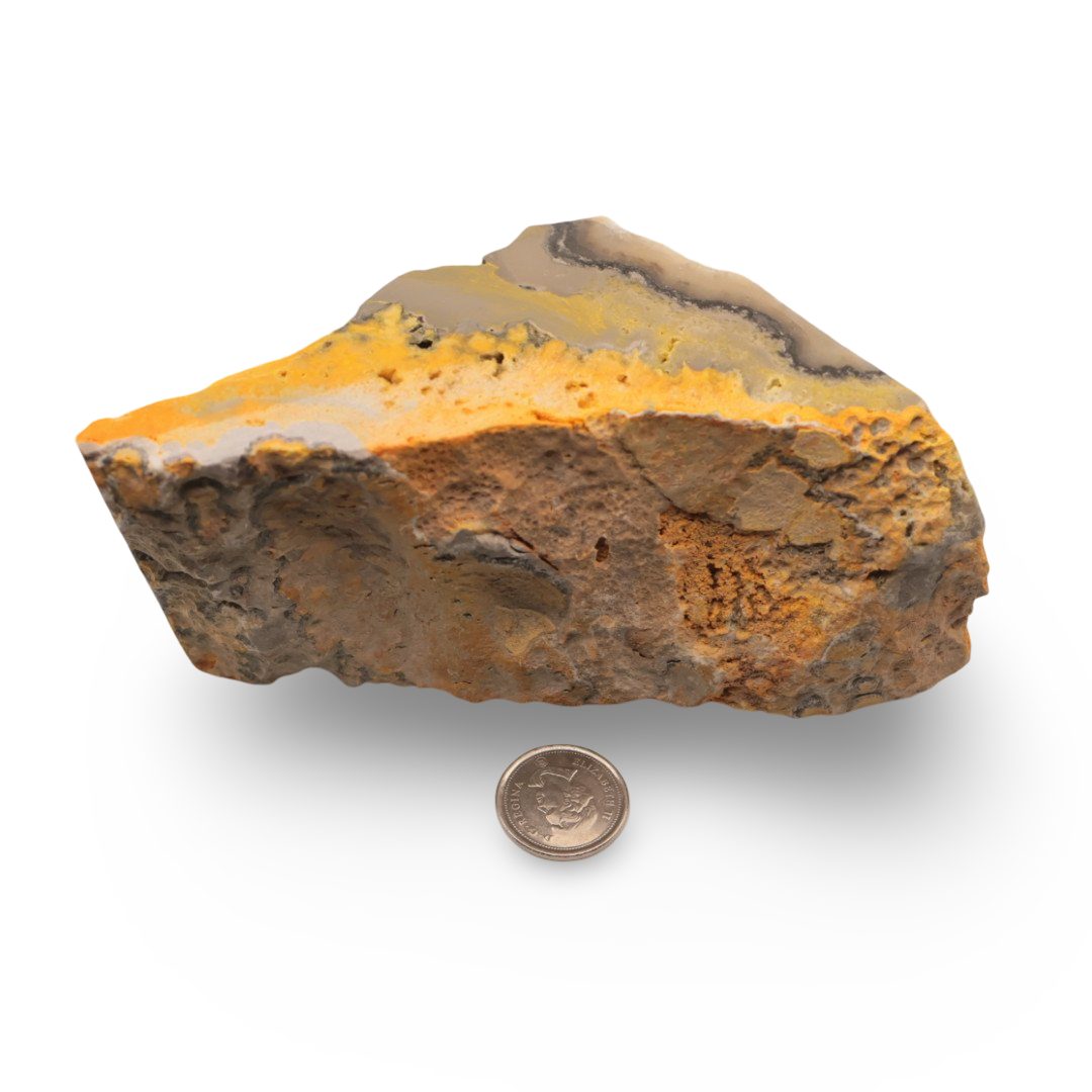 Stone - Bumblebee Jasper Slice - Rough with Tumbled Face