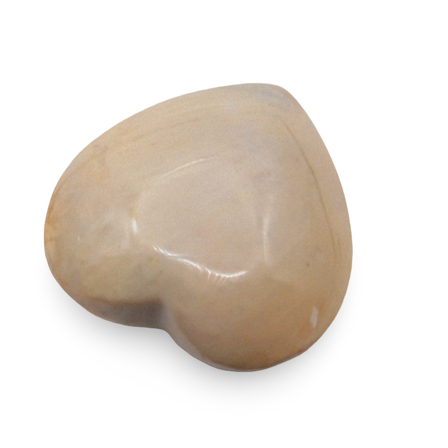 Stone - Fossil Coral - Heart Shape - Tumbled