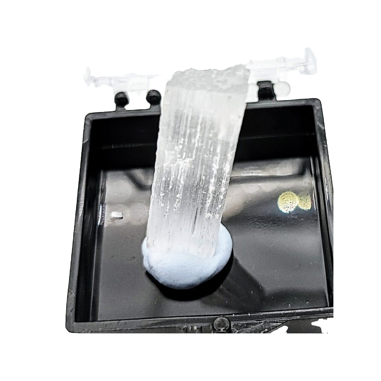 Collection Piece -Display Box -Gypsum -Rough -Morroco