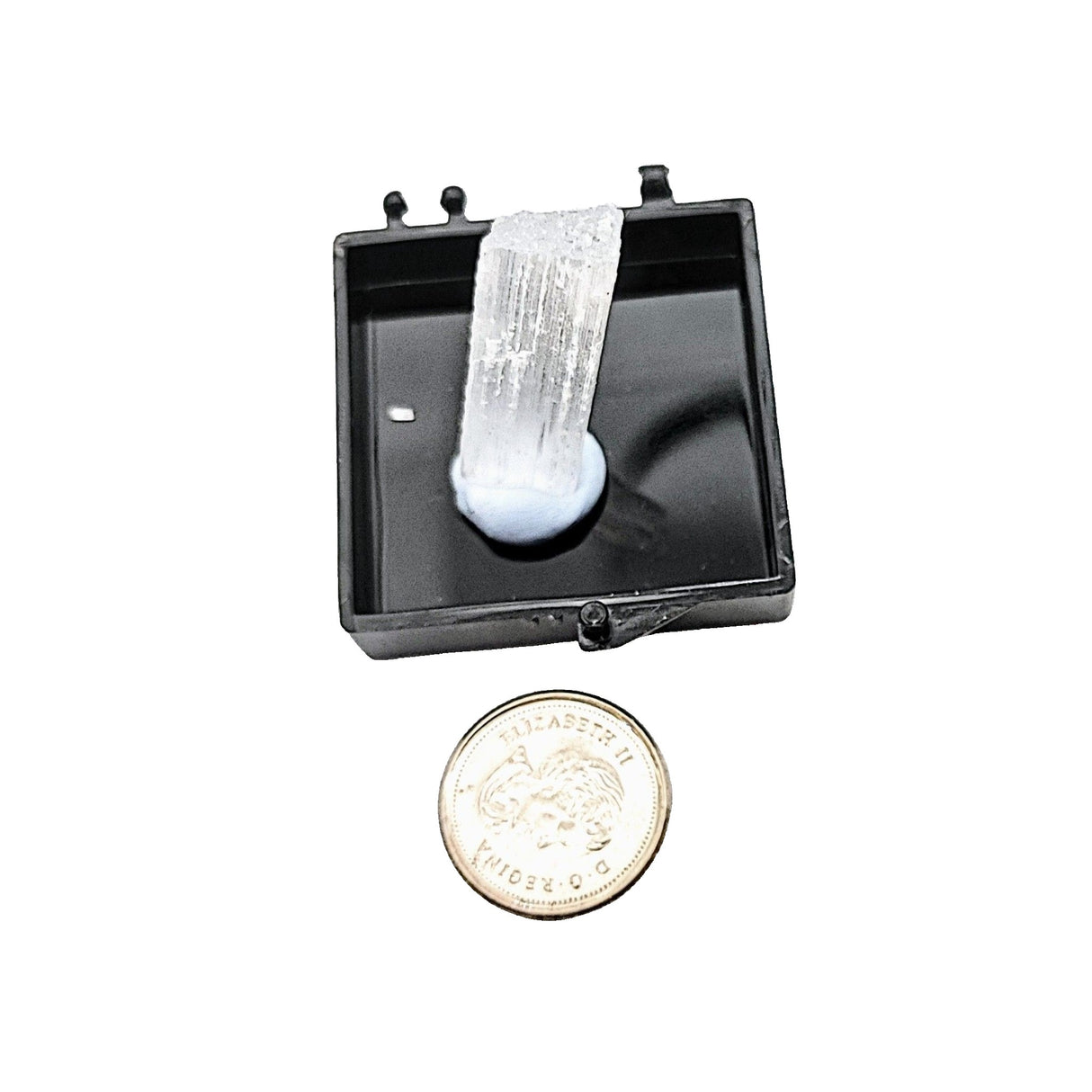 Collection Piece -Display Box -Gypsum -Rough -Morroco