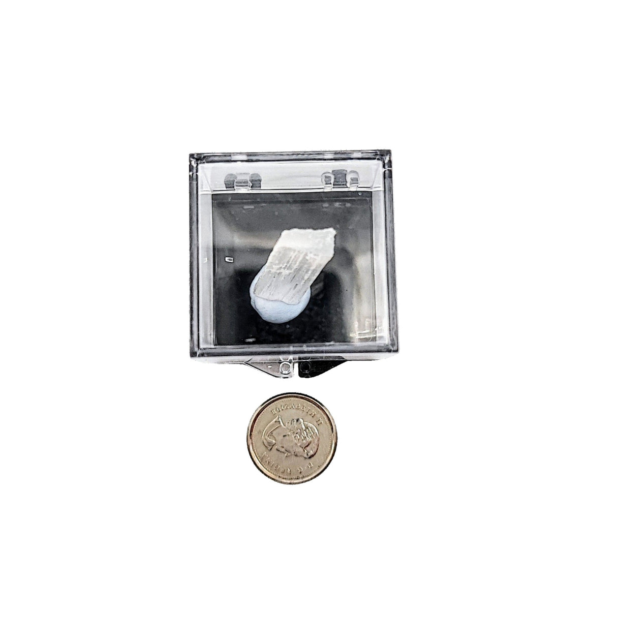 Collection Piece -Display Box -Gypsum -Rough -Morroco