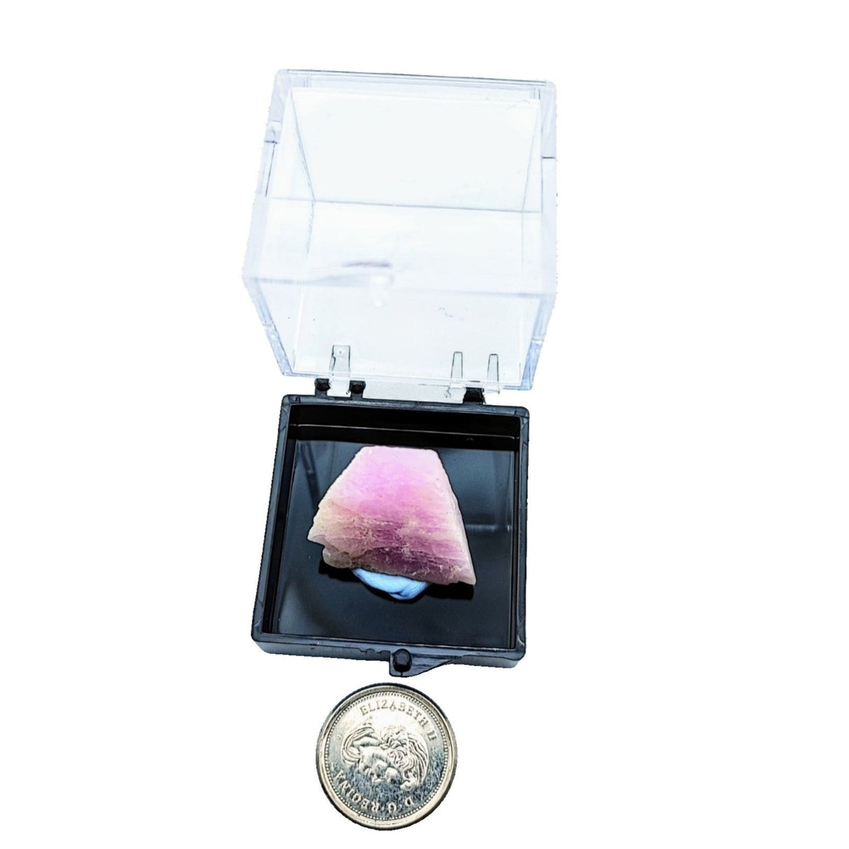 Collection Piece -Display Box -Kunzite -Rough -Pakistan