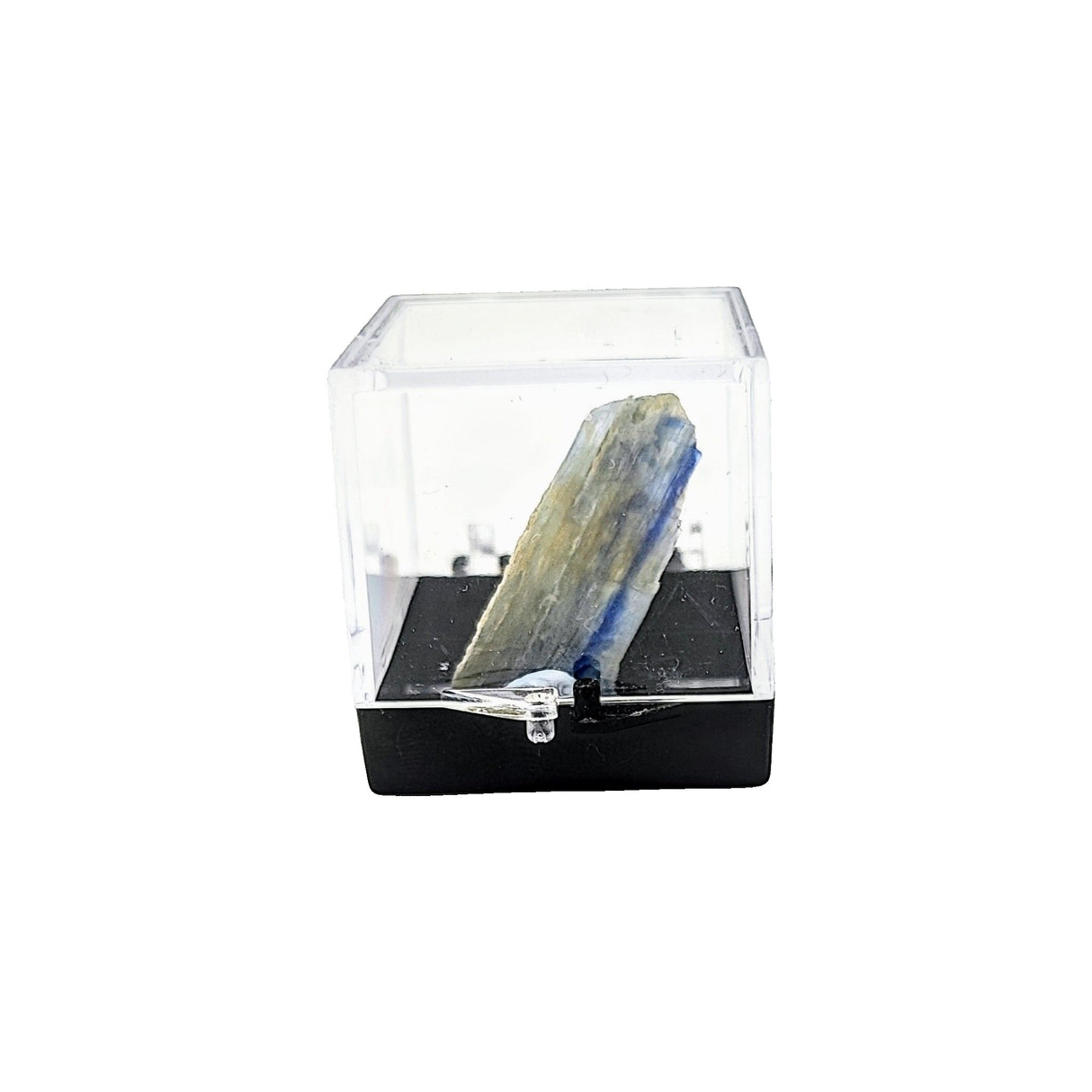 Collection Piece -Display Box -Kyanite -Rough -Brazil