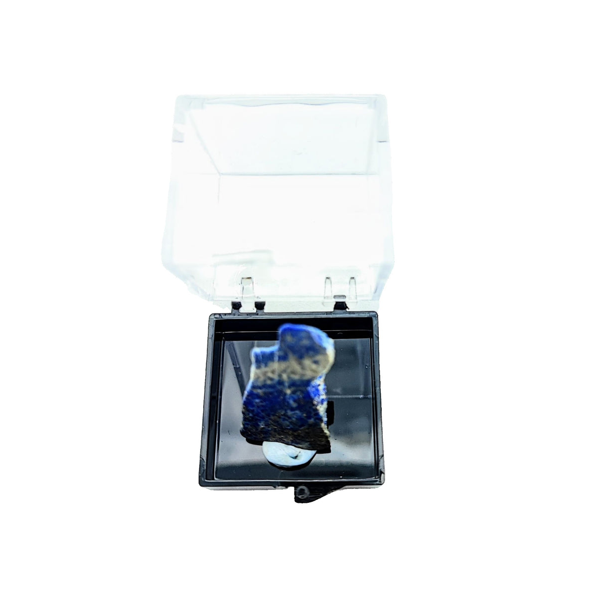 Collection Piece -Display Box -Lapis Lazuli -Rough -Afghanistan