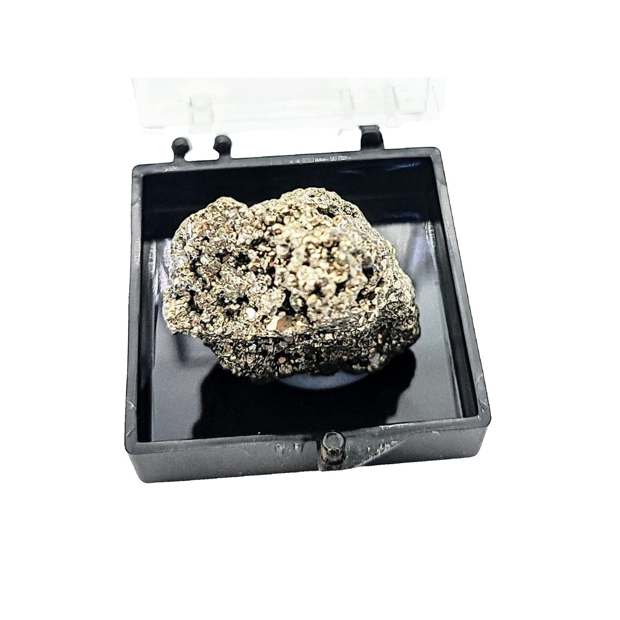 Collection Piece -Display Box -Pyrite -Rough -Peru