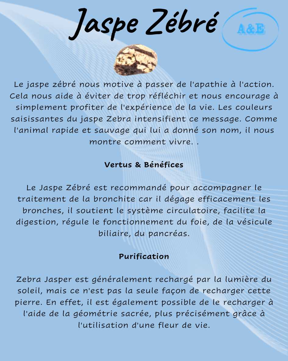 Descriptive Cards -Precious Stones & Crystals -Zebra Jasper Default Title