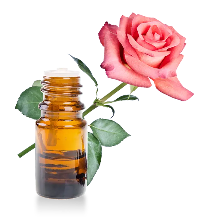 Essential Oil - Damask Rose Absolute (Rosa Damascena) 500 ml