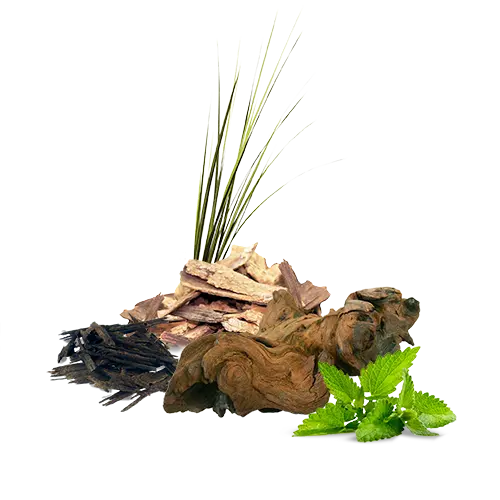 Fragrance Oil - Musk 500 ml