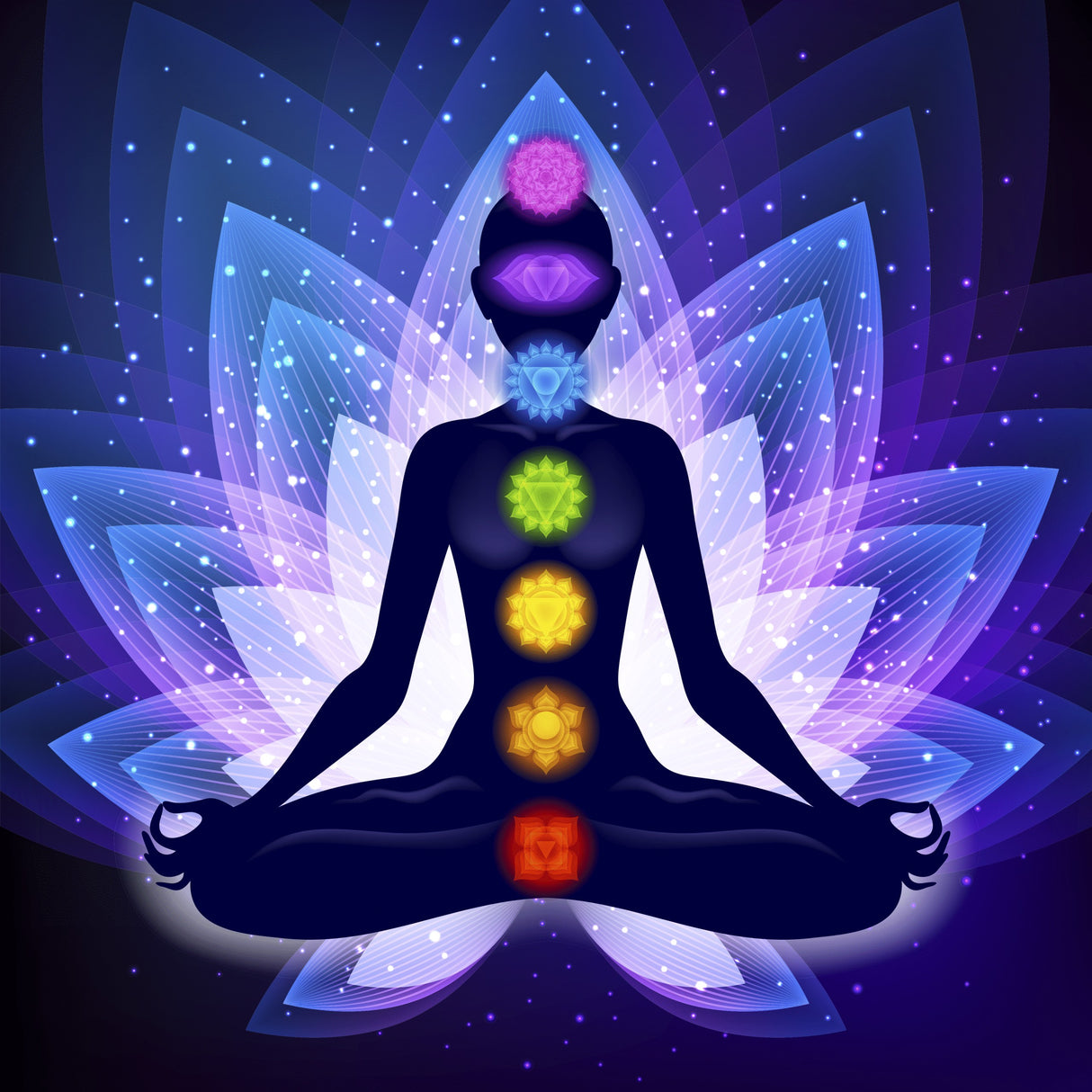 Fragrance Oil - Premium Collection - 7 Chakras